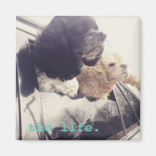 the good life magnet (Front)