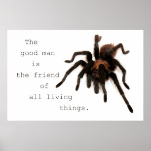 The Good Man Poster
