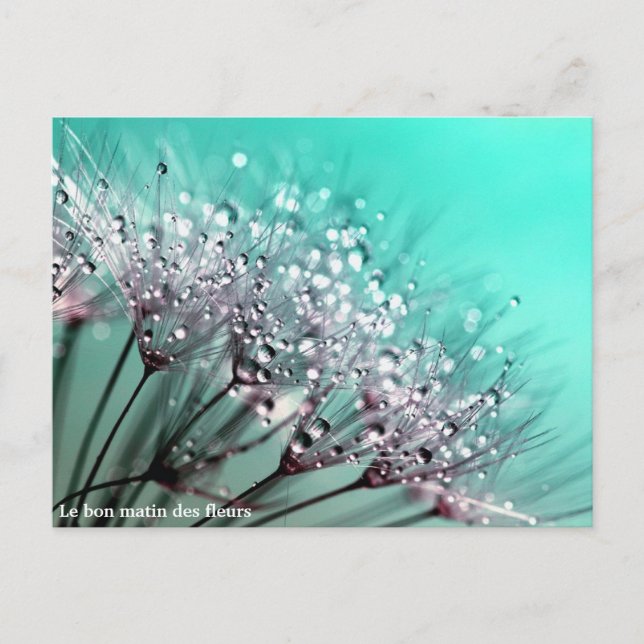 The Good Morning of Flowers Announcement Postcard (Front)