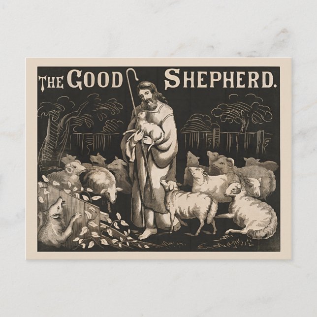 The Good Shepherd Vintage Engraving Postcard (Front)