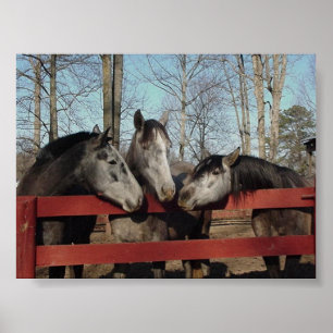 The Gossip Corner Poster