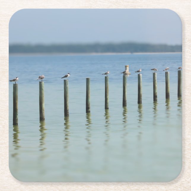 "The Gossip Line" - Coastal Seagulls - Coaster (Front)
