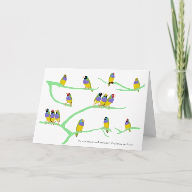 The Gouldian Finch (Erythrura gouldiae) Card (Front)