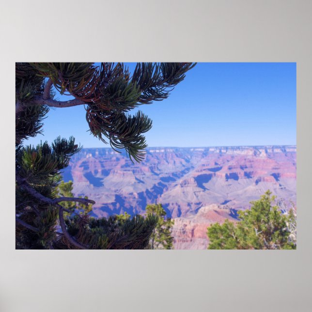 The Grand Canyon - Arizona - USA Poster (Front)