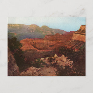 The Grand Canyon Vintage Postcard