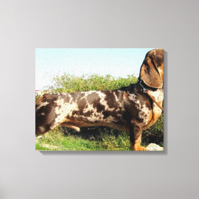 The Grand Dachshund Canvas Print (Front)