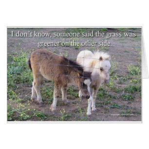 The Grass is Greener