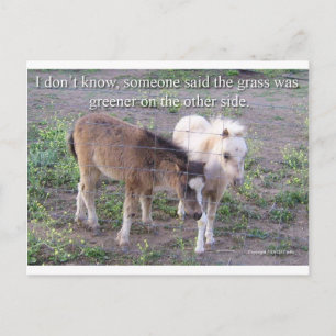 The Grass is Greener Postcard