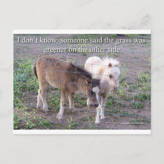 The Grass is Greener Postcard (Front)