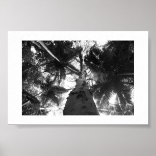 The Gray Above Australia Black and White Photo Poster