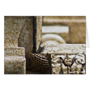 The Great Architects