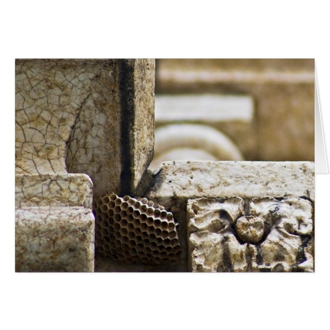 The Great Architects (Front Horizontal)