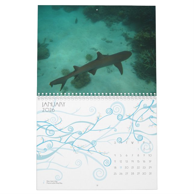 The Great Barrier Reef, Australia Calendar (Jan 2026)