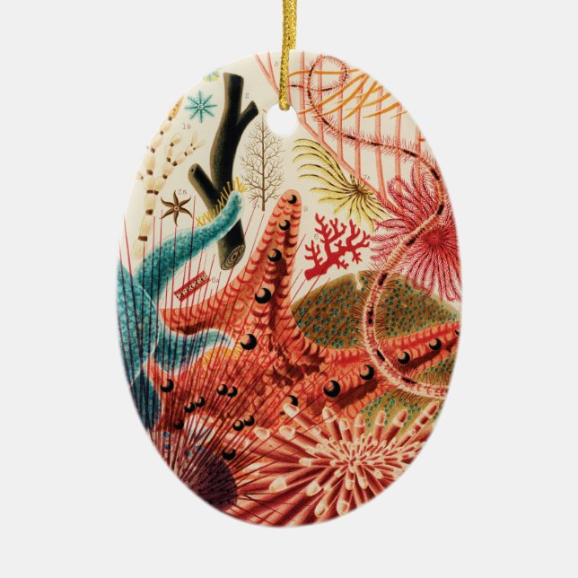 The Great Barrier Reef Australia Ceramic Tree Decoration (Front)