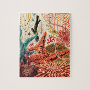 The Great Barrier Reef Australia Jigsaw Puzzle