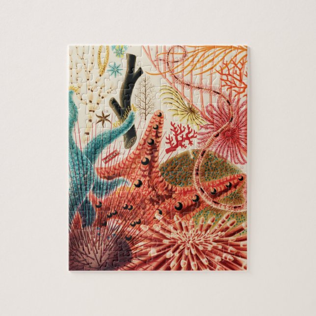 The Great Barrier Reef Australia Jigsaw Puzzle (Vertical)