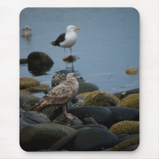 The Great Black-backed Gull Mousepad (Front)
