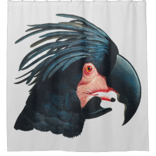The Great Black Cockatoo by Francois Levaillant. Shower Curtain