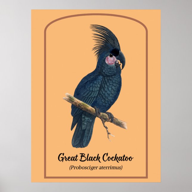 The Great Black Cockatoo Poster (Front)