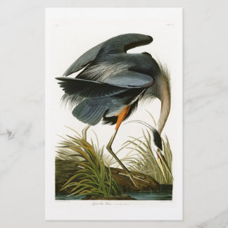 The Great Blue Heron John Audubon Birds of America