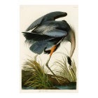 The Great Blue Heron John Audubon Birds of America