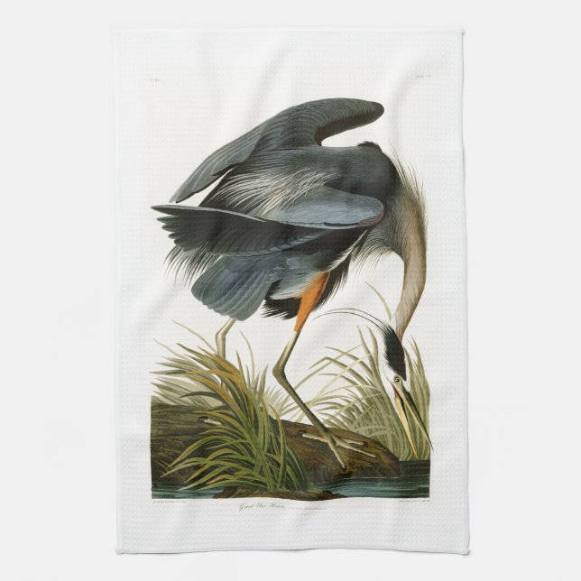 The Great Blue Heron John Audubon Birds of America Tea Towel (Vertical)