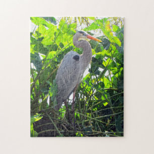 The Great Blue Heron Puzzle