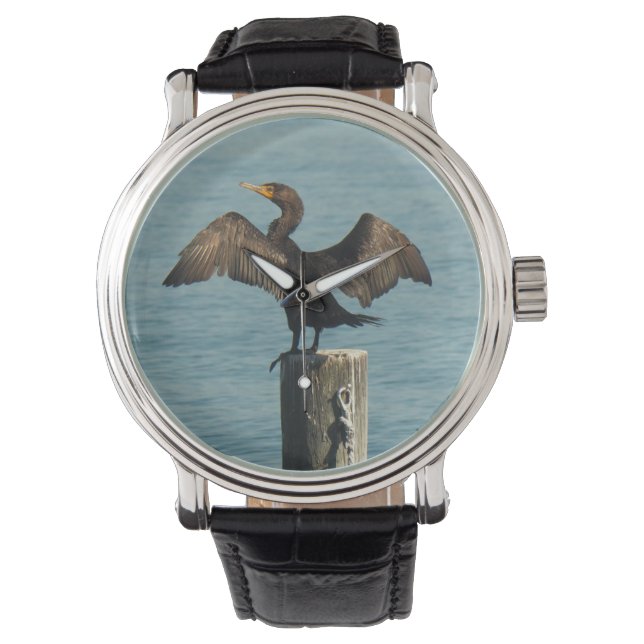 The great cormorant watch (Front)
