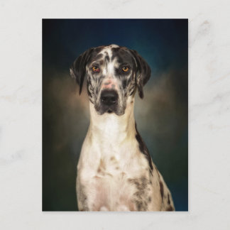 The Great Dane Postcard