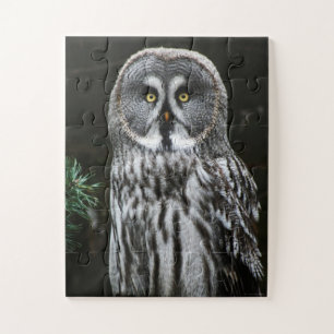The Great Grey Owl 11x14 30pc jpcna Jigsaw Puzzle