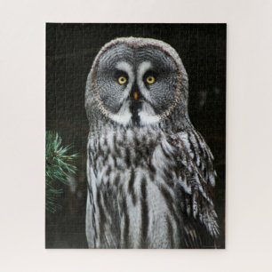 The Great Grey Owl 16x20 520pc jpcna Jigsaw Puzzle