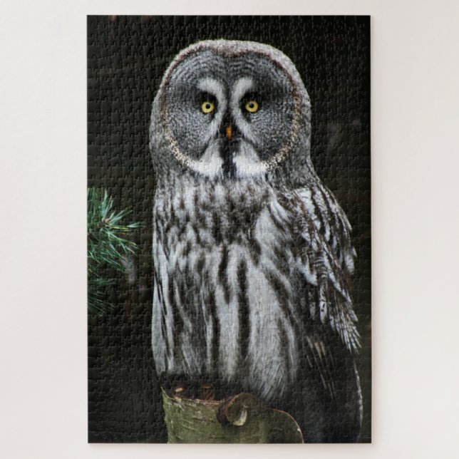 The Great Grey Owl 20x30 1014pc jpcna Jigsaw Puzzle (Vertical)