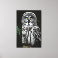 The Great Grey Owl 40x60 (100x150cm) waccnm