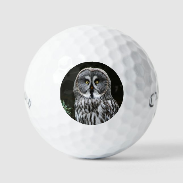 The Great Grey Owl css gbcnm Golf Balls (Front)