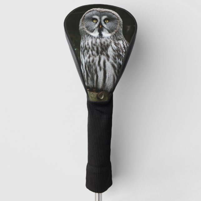 The Great Grey Owl dcm Golf Head Cover (Front)