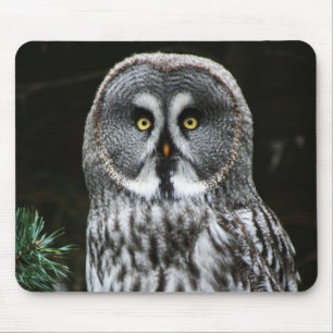 The Great Grey Owl mpcnm Mouse Mat