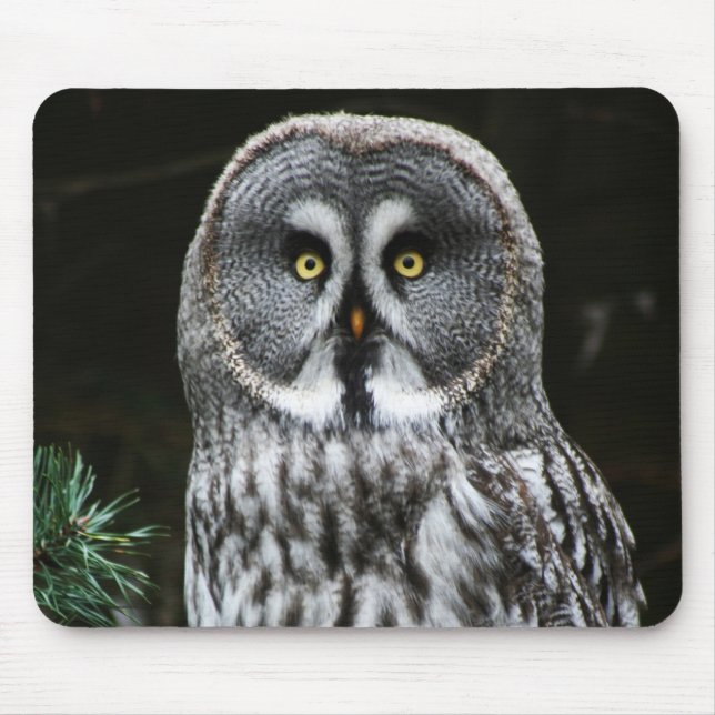 The Great Grey Owl mpcnm Mouse Mat (Front)