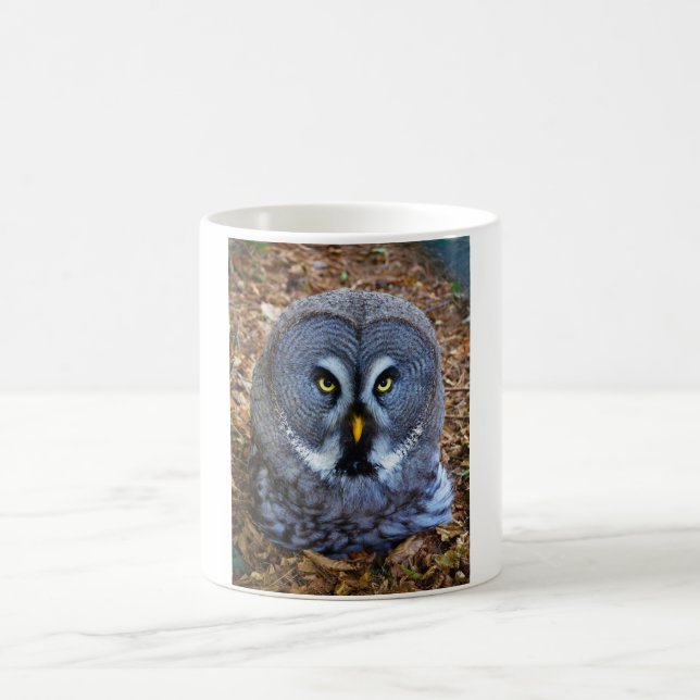 The Great Grey Owl Strix Nebulosa Lapland Owl Coffee Mug (Center)