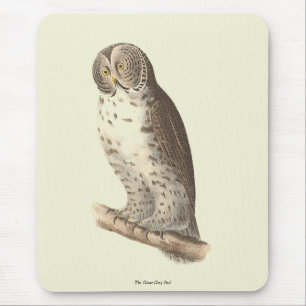 The Great Grey Owl (Strix nebulosa) NY Bird Image Mouse Mat