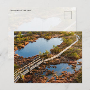 The Great Kemeri Bog Boardwalk, Latvia Postcard