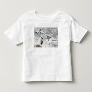 The Great Lakes 2 Toddler T-Shirt