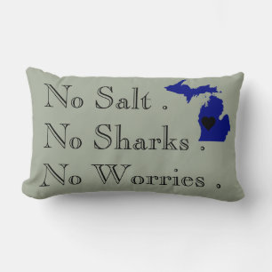 The Great Lakes Lumbar Cushion