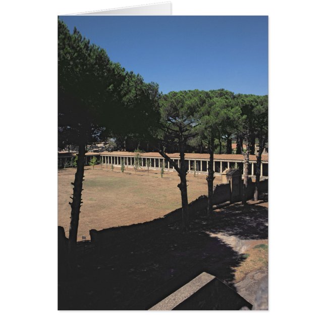 The Great Palaestra (Front)