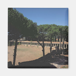 The Great Palaestra Magnet