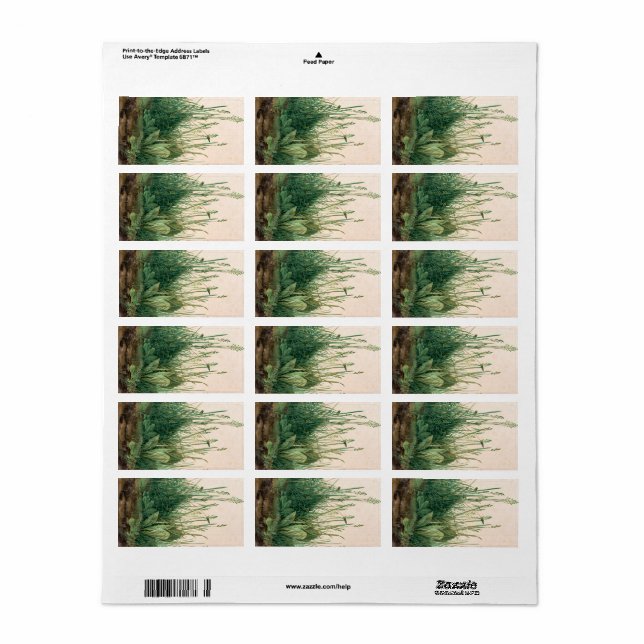 The Great Piece of Turf, 1503 by Albrecht Durer Label (Full Sheet)