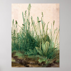 The Great Piece of Turf, 1503 by Albrecht Durer Poster