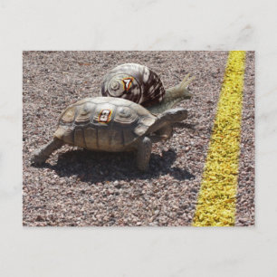 The Great Race Postcard