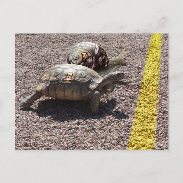 The Great Race Postcard (Front)