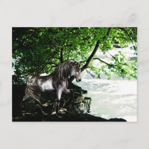 The Great River Divide Postcard