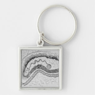 The Great Serpent Mound Key Ring